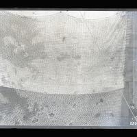 Reti danneggiate da scoppio di siluro - 2