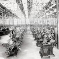 Interno dello stabilimento. Reparto trapani