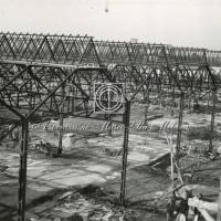 Capannoni in costruzione